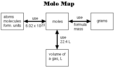 mole map